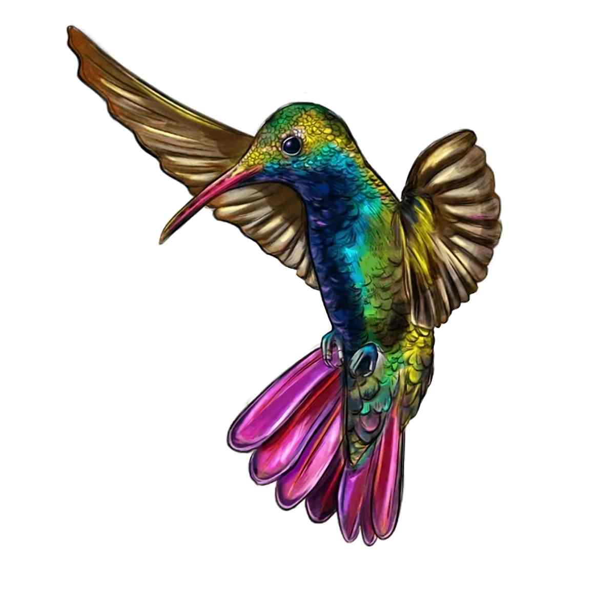 Kolibries - Puzzel