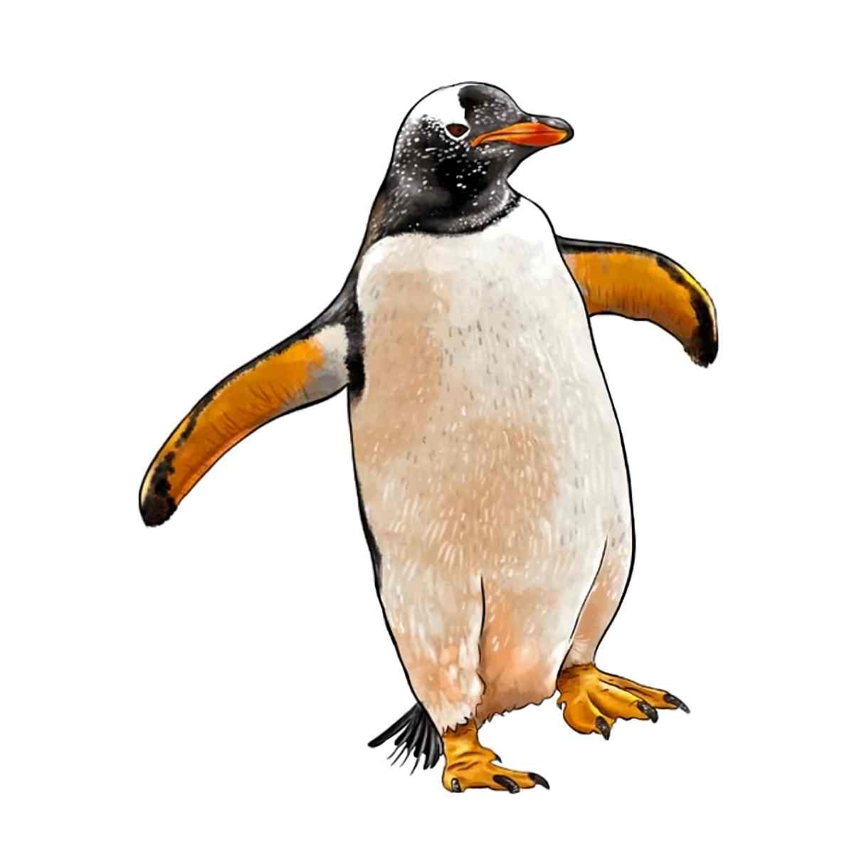 Pinguïn - puzzel