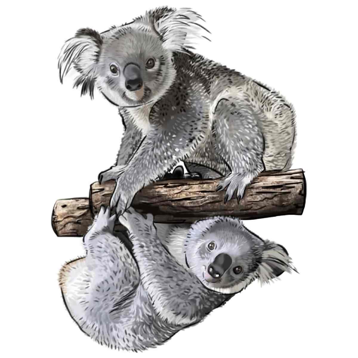 Koala - Puzzel