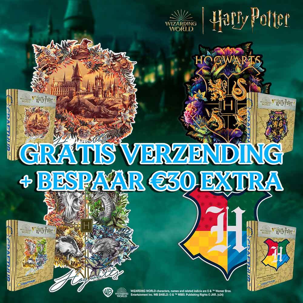 Harry Potter - Top 4 best verkochte houten puzzel sets