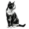 Animal Jigsaw Puzzle > Wooden Jigsaw Puzzle > Jigsaw Puzzle Black and White Cat - Jigsaw Puzzle