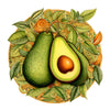 Animal Jigsaw Puzzle > Wooden Jigsaw Puzzle > Jigsaw Puzzle A5 Avacado - Jigsaw Puzzle