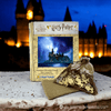 Afbeelding in Gallery-weergave laden, Animal Jigsaw Puzzle &gt; Wooden Jigsaw Puzzle &gt; Jigsaw Puzzle Harry Potter - Starry Hogwarts Castle Wooden Jigsaw Puzzle