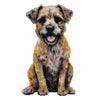 40x40cm Border Terrier Dog - Diamond Painting Kit