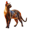 Animal Jigsaw Puzzle > Wooden Jigsaw Puzzle > Jigsaw Puzzle Havana Brown Cat - Jigsaw Puzzle