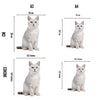 Animal Jigsaw Puzzle > Wooden Jigsaw Puzzle > Jigsaw Puzzle Burmilla Cat - Jigsaw Puzzle
