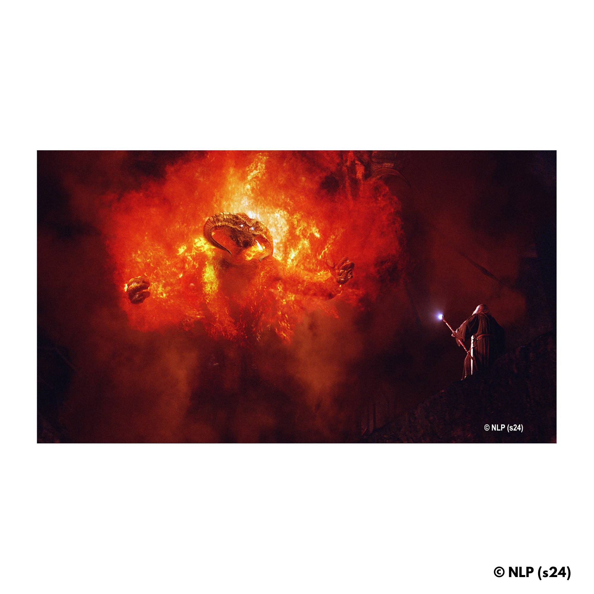 Animal Jigsaw Puzzle > Wooden Jigsaw Puzzle > Jigsaw Puzzle Gandalf Vs Balrog - Wooden Jigsaw Puzzle