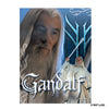 Afbeelding in Gallery-weergave laden, Animal Jigsaw Puzzle &gt; Wooden Jigsaw Puzzle &gt; Jigsaw Puzzle Gandalf The Guardian of Middle Earth - Wooden Jigsaw Puzzle